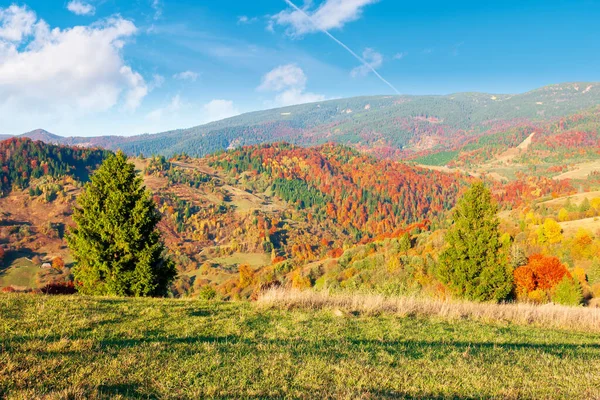 Campo Outono Pôr Sol Paisagem Montanhosa Com Florestas Prados Luz — Fotografia de Stock