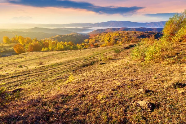 Outono Nascer Sol Paisagem Montanhosa Árvores Folhagem Dourada Prado Grama — Fotografia de Stock