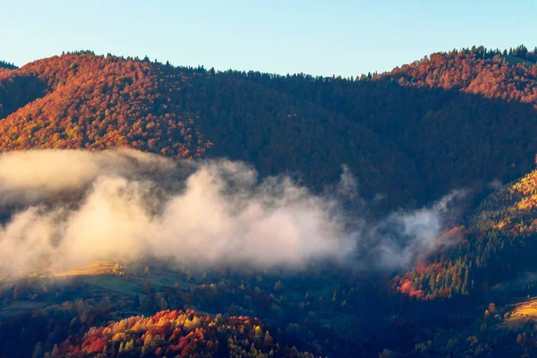 Dağlarda Sonbahar Günbatımı Sisin Arasındaki Ağaç Tepesi Tepelerden Yuvarlanıyor Gizemli — Stok fotoğraf