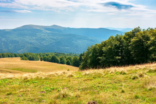 Hierba Amarilla Prado Las Montañas Hermoso Paisaje Natural Debajo Cielo — Foto de Stock