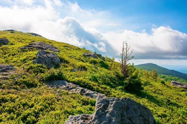 Great Alpine Scenery Summertime Beauty Green Blue Colors Nature Stunning — Stock Photo, Image