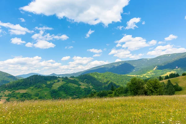 乡间田野和山上的草地 在阳光灿烂的日子里 田园诗般的山水 风景滚到远处的山脊上 晴朗的天气 蓝天上有蓬松的云彩 — 图库照片