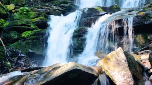 Stort Vattenfall Skogen Vackert Naturlandskap Flod Bland Klipporna Färskt Sommarlandskap — Stockvideo