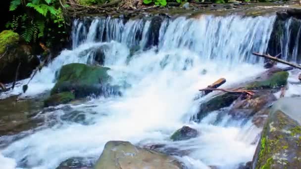 Incredibly Beautiful Clean Waterfall Several Cascades Large Stones Forest Comes — Stock Video