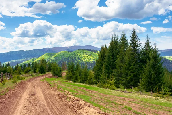 Schöne Natur Berglandschaft Weg Durch Den Wald Auf Grasbewachsenen Hügeln — Stockfoto