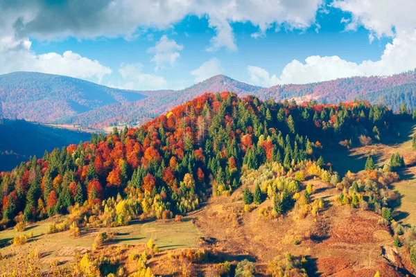 Krajina Podzim Při Západu Slunce Horská Krajina Lesy Loukami Večerním — Stock fotografie