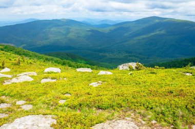 Alp çayırının kenarındaki beyaz kayalar. Yazın dağ manzarasının taze yeşil çimenli yamaçları. Ufuk çizgisine doğru gelen uzak tepeler. Bulutlu bulutlu güneşli hava
