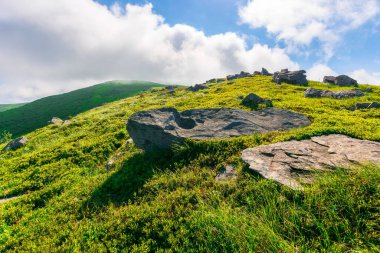 Yazın harika bir dağ manzarası. Doğada yeşil ve mavi renkler varsa güzellik. Dinamik bir gökyüzünün altındaki benekli ışıkta sersemletici dağ manzarası.