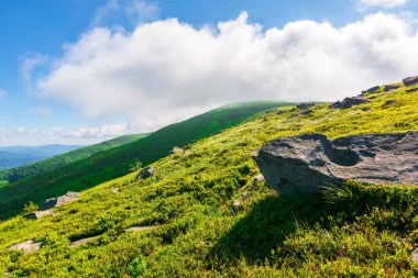Yazın harika bir dağ manzarası. Doğada yeşil ve mavi renkler varsa güzellik. Dinamik bir gökyüzünün altındaki benekli ışıkta sersemletici dağ manzarası.