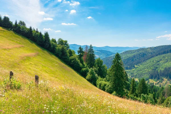 Campos Rurais Prados Colinas Verão Paisagem Montanha Idílica Dia Ensolarado — Fotografia de Stock