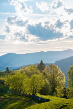 Kırsal alanlarda bir patika. Gün batımında kırsal manzaranın güzel manzarası. Tepeler uzak vadiye doğru iniyor. Akşam ışığında mavi gökyüzünde bulutlar
