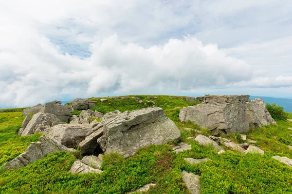 Huge Stones Valley Top Mountain Ridge Mountain Summer Landscape Meadow — Stock Photo, Image