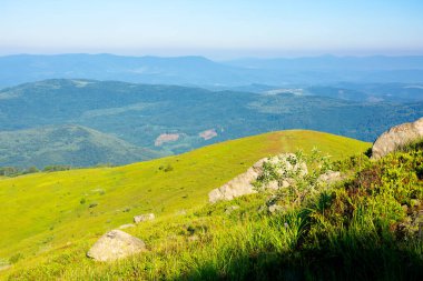 Dağ yaz manzarası. Bir tepenin kenarındaki çimlerin arasında dev keskin bir taşla çayır.