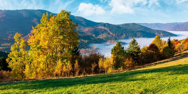 谷は霧でいっぱいだ 日没の秋の風景 草の丘の上のカラフルな葉の森 秋の美しい山の風景 雲の反転素晴らしい自然現象 — ストック写真