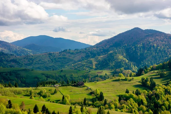 Campos Verdes Paisaje Rural Hermosa Naturaleza Del Campo Primavera Vista — Foto de Stock