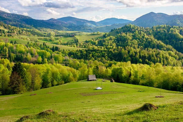 Grüne Felder Ländliche Landschaft Schöne Landschaft Natur Frühling Malerischer Blick — Stockfoto