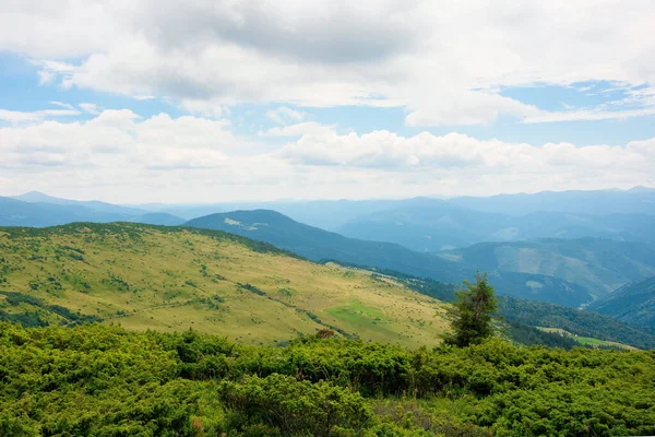 Berglandschaft Mit Baum Auf Dem Hügel Schöne Landschaft Einem Bewölkten — Stockfoto