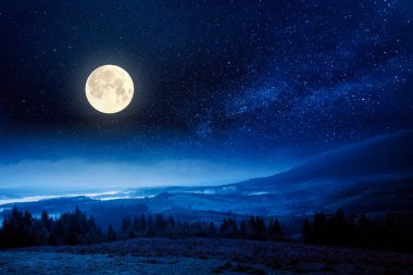 Sonbahar gecesi kırmızı yapraklı orman. Ağaçların dalları ve ormanda kırmızı yaprakları var. Dağın yamacında, dolunay ışığında en yüksek tepe noktasında.