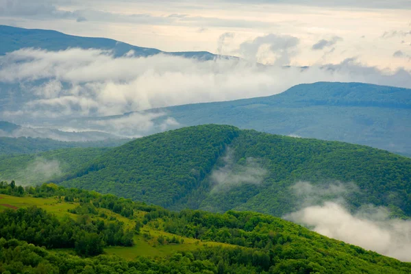 Fog Mist Forest Beautiful Morning Nature Mountains Landscape Clouds Sky — Stock Photo, Image