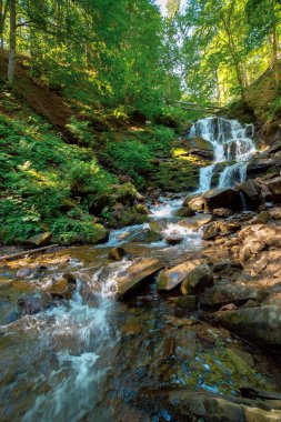 Ön taraftaki şelalede. Dağ nehrinin hızlı suyu. Güzel doğa geçmişi. Sakin yaz manzarası