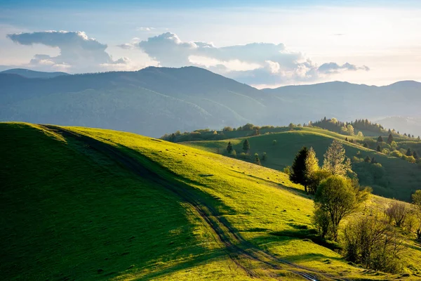 Weg Durch Ländliche Felder Schöne Aussicht Auf Die Ländliche Landschaft — Stockfoto