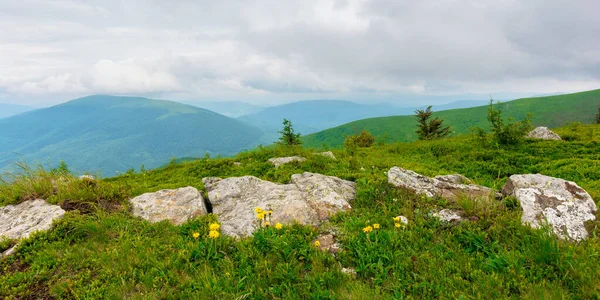 Obrovské Kameny Údolí Vrcholu Horského Hřebene Horská Letní Krajina Louka — Stock fotografie