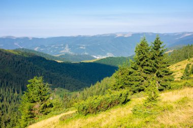 Yamaçtaki orman. Vadinin manzarası. Yeşil doğa manzarası konsepti. Yazın güzel dağ manzarası. Mavi gökyüzü ve sabah bulutları uzak tepenin üstünde