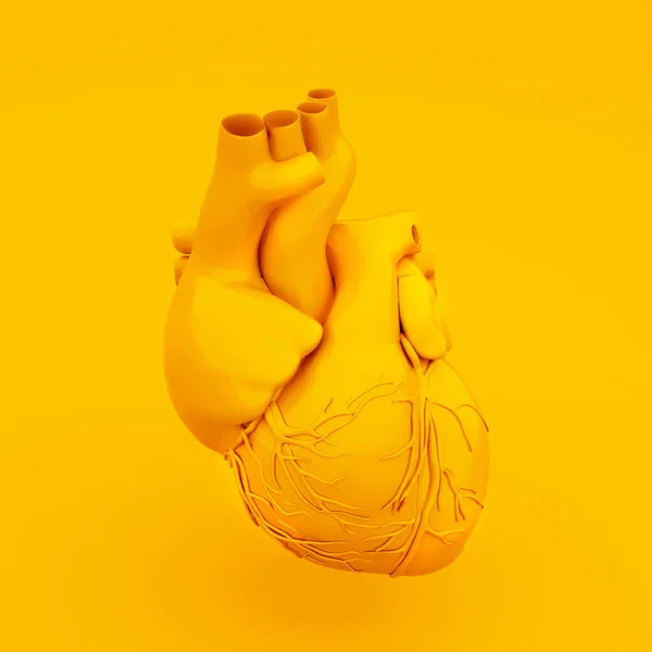 Yellow Anatomical Heart Concept. Illustrazione 3D — Foto Stock