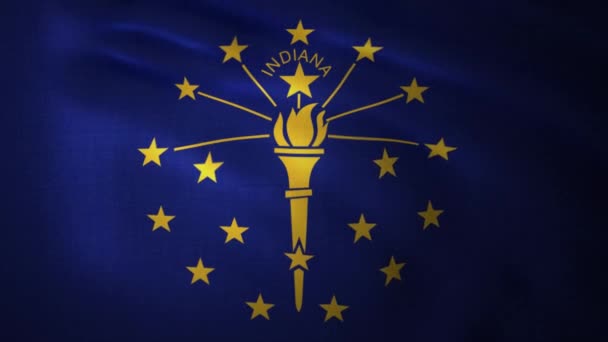 State flag of Indiana waving in the wind against green screen background — Stock Video