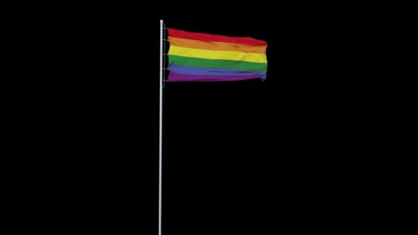 LGBT vlag wapperend in de wind. Achtergrond van het groene scherm — Stockvideo