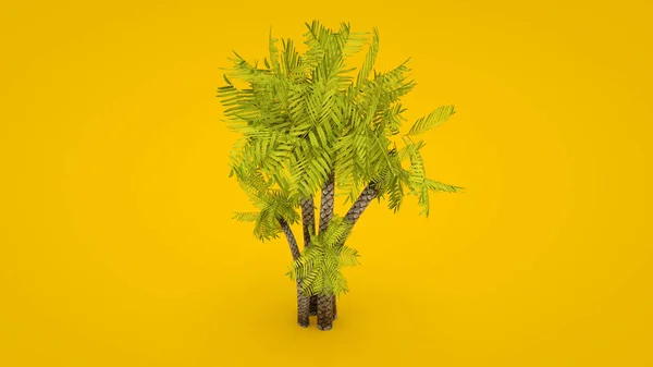 Rendu 3D d'un palmier isolé sur fond jaune — Photo