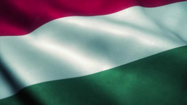 Flaga Węgier macha na wietrze. Flaga narodowa Węgier. Znak Węgier płynna animacja pętli. 4k — Wideo stockowe