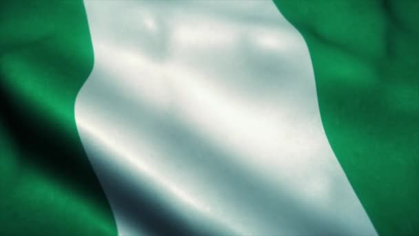 La bandiera nigeriana sventola nel vento. Bandiera nazionale della Nigeria. Segno di Nigeria senza soluzione di continuità loop di animazione. 4K — Video Stock