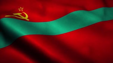 Pridnestrovian Moldova Cumhuriyeti bayrağı rüzgarda sallanıyor. Transnistria 'nın kusursuz döngü animasyonunun işareti. 4K