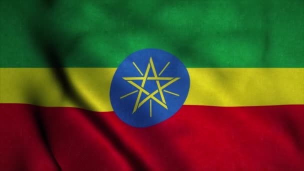 Ethiopië vlag wapperend in de wind. Naadloze lus met zeer gedetailleerde stofstructuur — Stockvideo