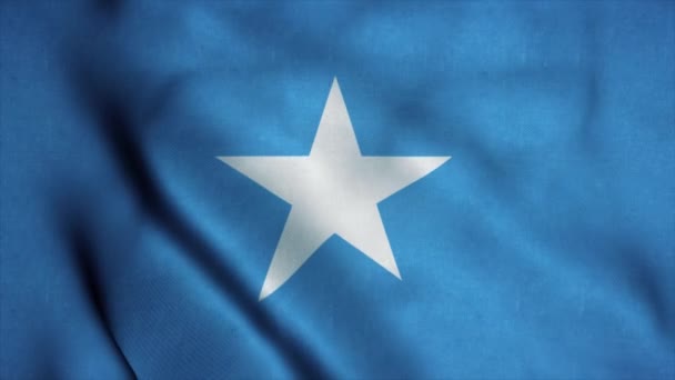 Die Flagge Somalias weht im Wind. Nationalflagge Somalias. Zeichen einer nahtlosen Schleifenanimation in Somalia. 4K — Stockvideo