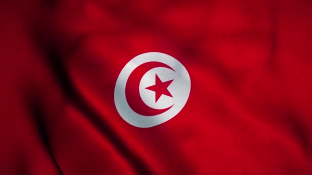 La bandiera tunisina sventola nel vento. Bandiera nazionale della Tunisia. Segno di Tunisia senza soluzione di continuità loop di animazione. 4K — Video Stock