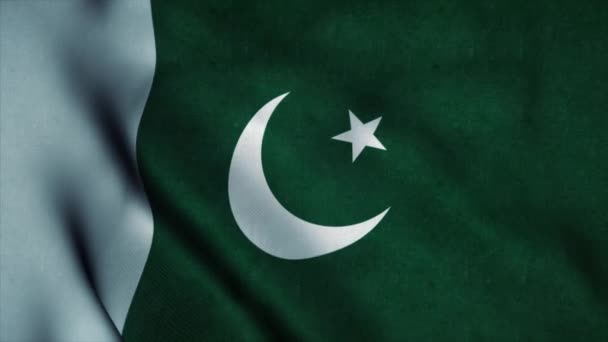 Bandiera pakistana sventola nel vento. Bandiera nazionale del Pakistan. Segno di Pakistan senza soluzione di continuità loop di animazione. 4K — Video Stock