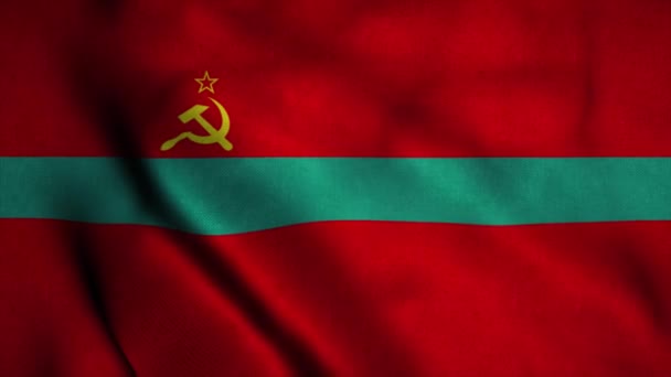 Bandeira da República da Moldávia Pridnestroviana acenando ao vento. Bandeira nacional da República da Moldávia Pridnestroviana. Sinal de Pridnestrovian Moldavian Republic animação loop sem costura. 4K — Vídeo de Stock