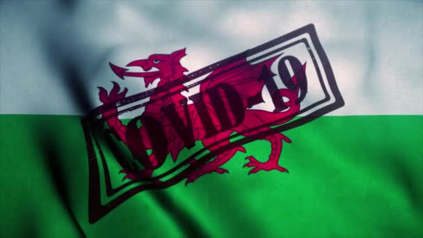 Covid-19 stempel op de nationale vlag van Wales. Coronavirusconcept — Stockvideo