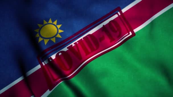 ナミビアやビルマの国旗にコヴィト-19の刻印。コロナウイルスの概念 — ストック動画