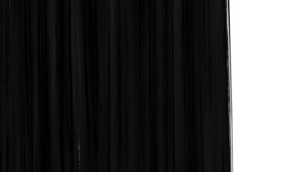 Інсульт Пензля Чорно Білий Перехідний Фон Анімація Сплеск Фарби Абстрактний — стокове відео
