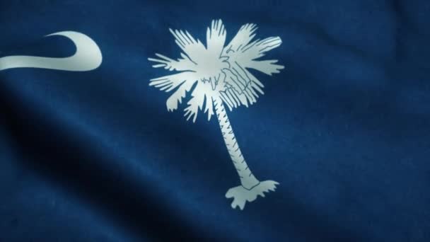 Bandiera dello Stato della Carolina del Sud sventola nel vento. Bandiera nazionale della Carolina del Sud. Segno di South Carolina State senza soluzione di continuità loop di animazione. 4K — Video Stock