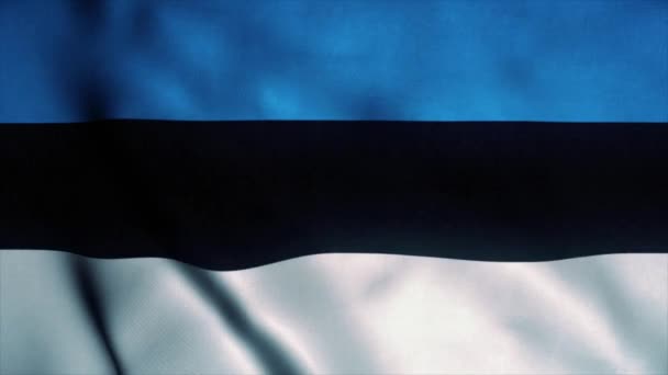 Bandera de Estonia ondeando en el viento. Bandera nacional de Estonia. Signo de Estonia animación de bucle sin fisuras. 4K — Vídeos de Stock