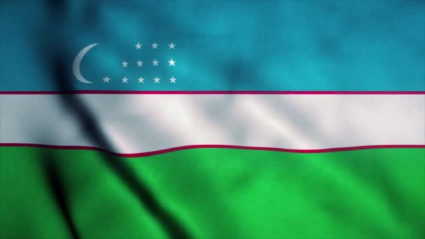 우즈베키스탄 국기가 바람에 흔들렸다. 우즈베키스탄의 국기. 우즈베키스탄의 바다없는 루프 애니메이션의 신호입니다. 4K — 비디오