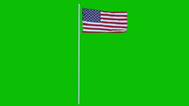 USA Flag Waving on wind on green screen or chroma key background. 4K animation — Stock Video