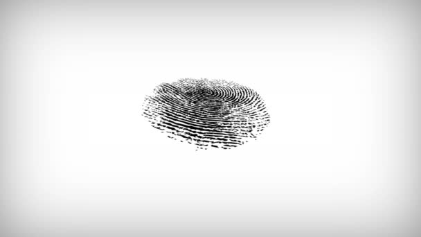 Verschiedene Fingerabdrücke auf weißem Hintergrund. 4K — Stockvideo