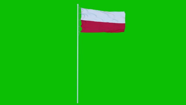 Polonia Bandera Ondeando en el viento en la pantalla verde o croma clave de fondo. Animación 4K — Vídeos de Stock