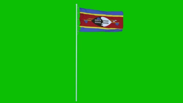 Bandera de Eswatini Agitando el viento en la pantalla verde o en el fondo de la tecla de croma. Animación 4K — Vídeos de Stock