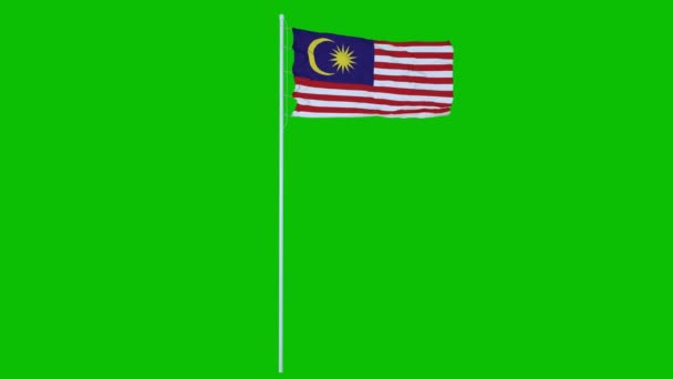 Bandera de Malasia ondeando en el viento en la pantalla verde o croma clave de fondo. Animación 4K — Vídeo de stock